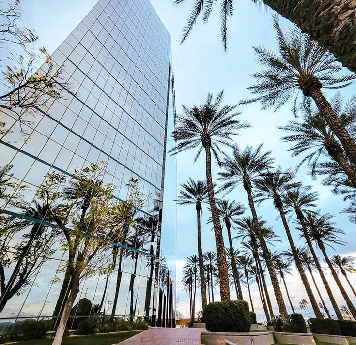 palm trees in front of large company building california-min