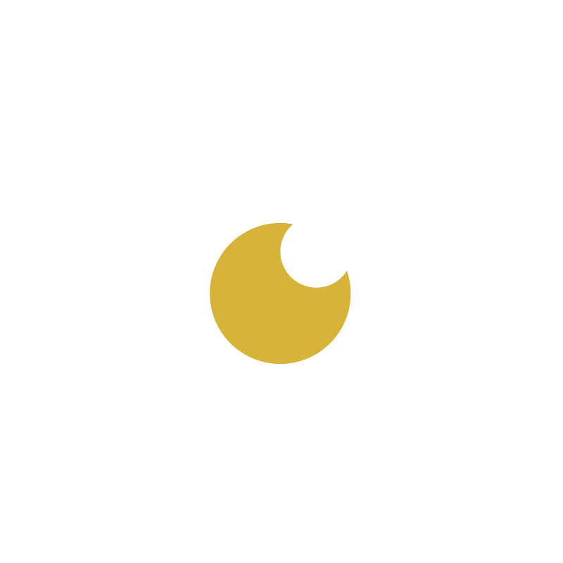Observer icon